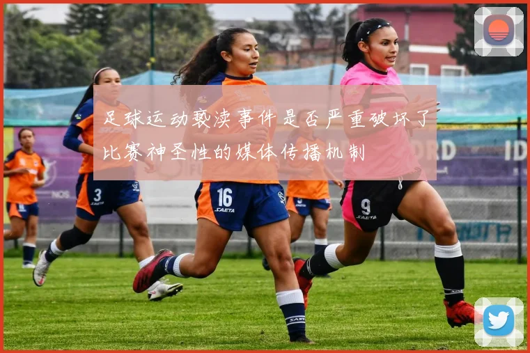 足球运动亵渎事件是否严重破坏了比赛神圣性的媒体传播机制