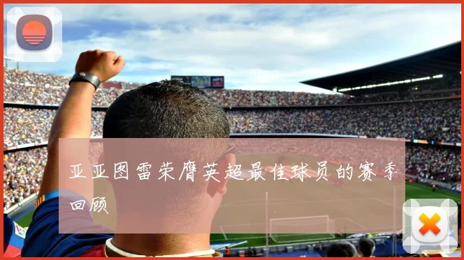 亚亚图雷荣膺英超最佳球员的赛季回顾