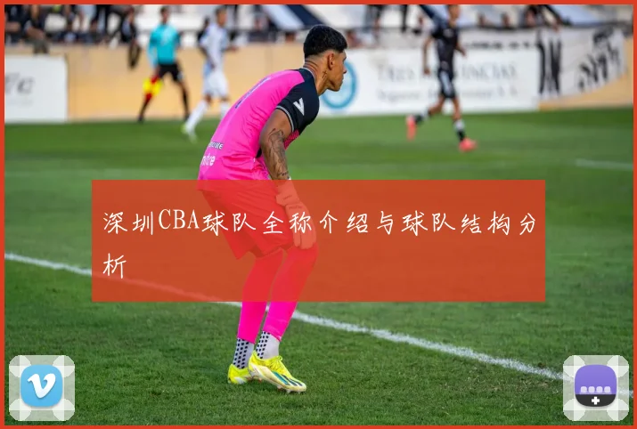 深圳CBA球队全称介绍与球队结构分析